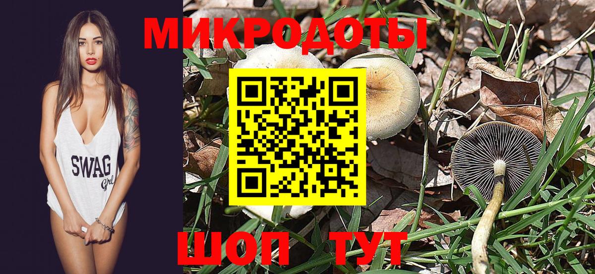 Псилоцибиновые грибы ЛСД  Вход с VPN  Бердск 